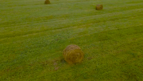 aerial drone footage orbiting and flying around a frehsly made silage wheat hay bale roll that is on a grassy green and cloudy farm field land, other hay bales are visible in the background as well