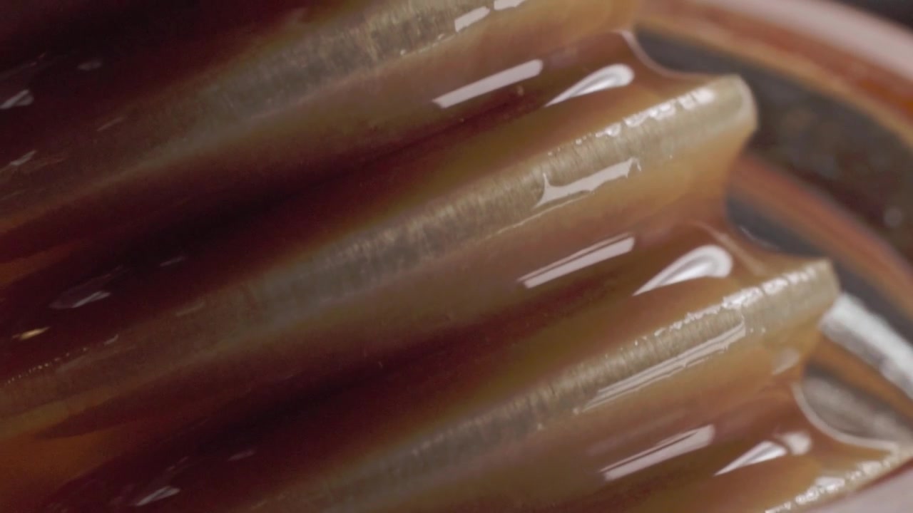 Macro ravvicinata di miele dorato che cola dolcemente da un cucchiaio, evidenziando la dolcezza naturale, la consistenza viscosa e l'ingrediente alimentare per concetti culinari in Messico.