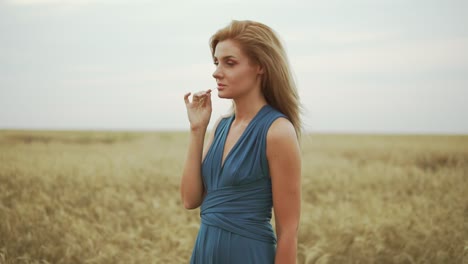 Handsome-young-woman-in-a-long-blue-dress-standing-in-golden-wheat-field-trying-the-wheat's-stem.-Freedom-concept.-Slow-Motion