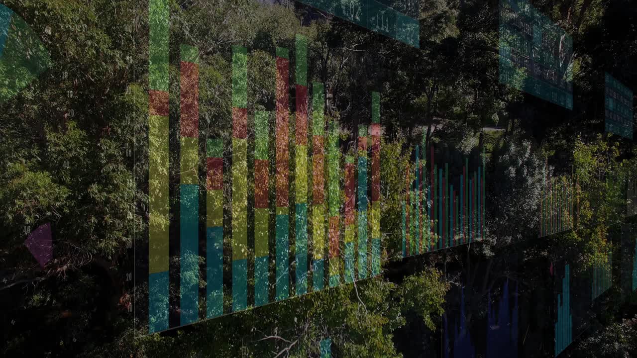 Drone ascending canopy shifting charts away revealing meadow figure walking representing analytics