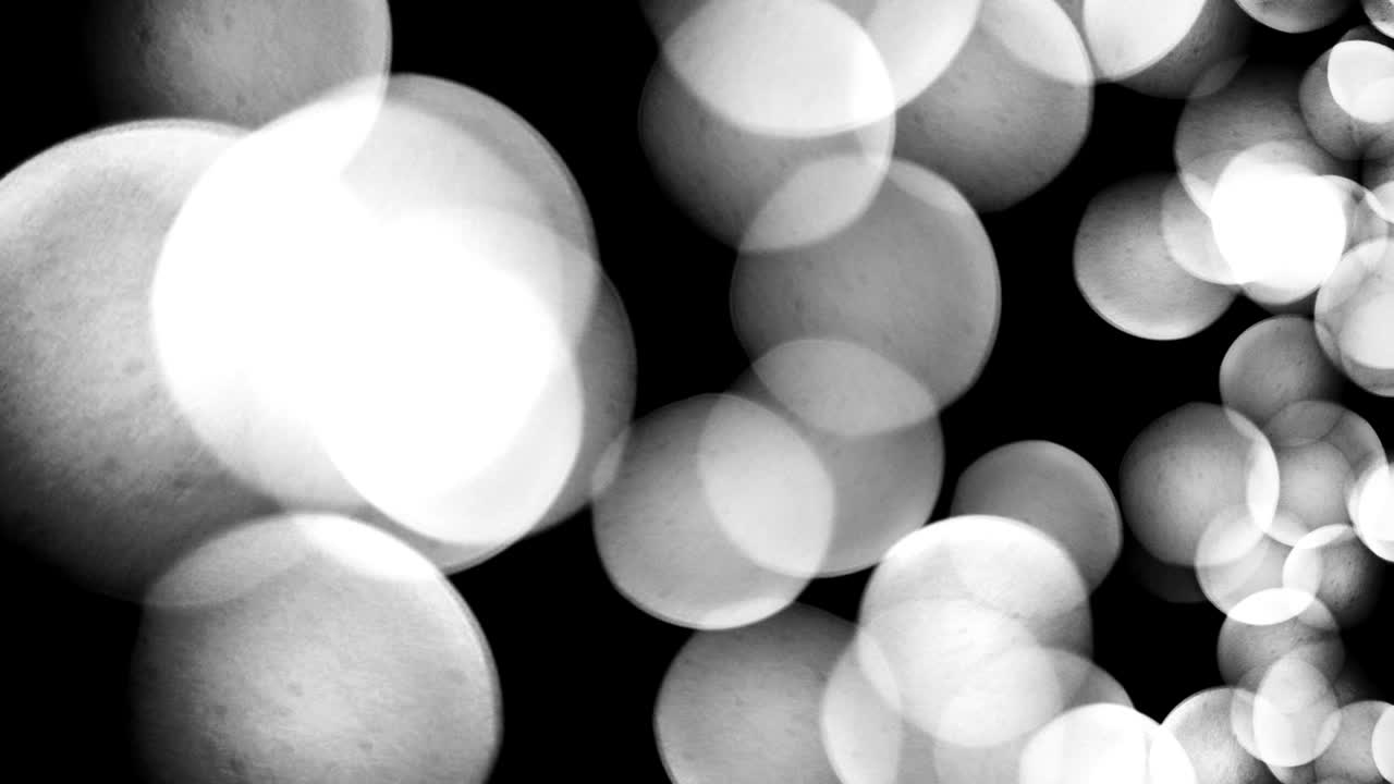 박이는 보케 조명 5