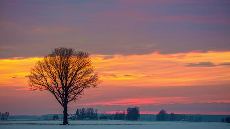 árbol-Sin-Hojas-Y-Solitario-En-El-Paisaje-Invernal-Al-Atardecer