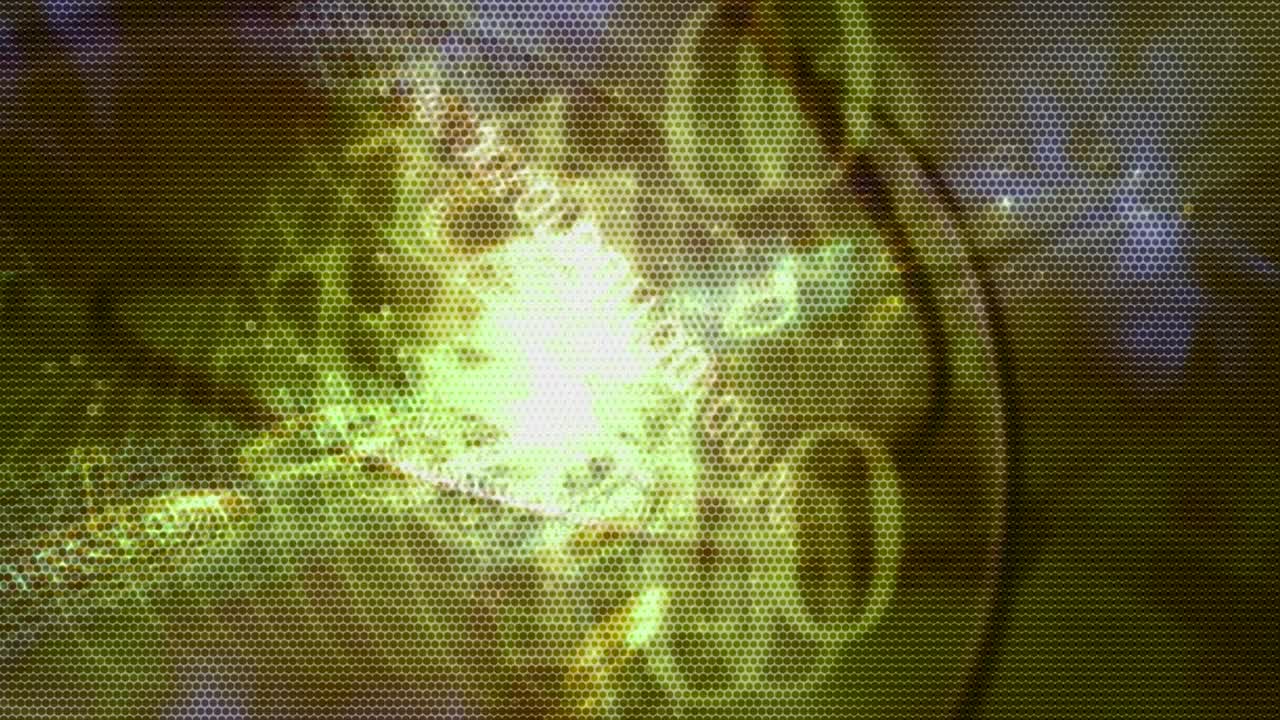 매트릭스 스타일을 보여주는 애니메이션 움직이는 배경 무작위로 생성 된 단어 글자 숫자 글 문자 및 기호