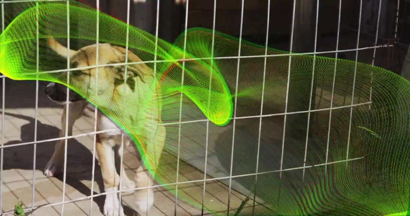 緑の波形が漂う中、警戒しながら歩く犬が板の匂いを嗅ぎ、ブロックの陰に隠れて探索する様子