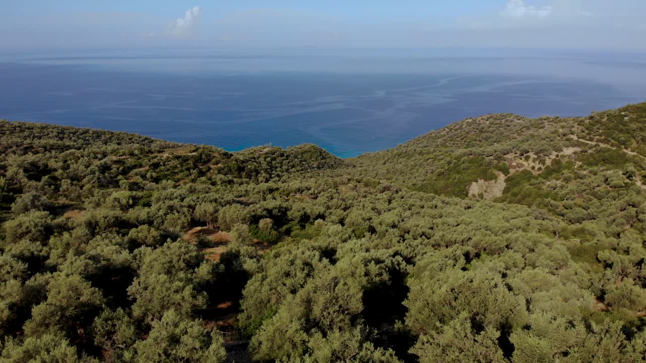 Ulivi verdi sulle colline sopra un mare blu sconfinato sulla costa mediterranea in Albania.
