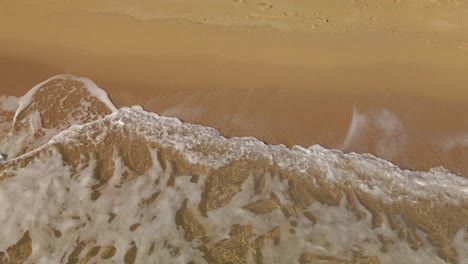 ocean waves white sea foam rolling into a golden sand empty beach in costa brava, spain