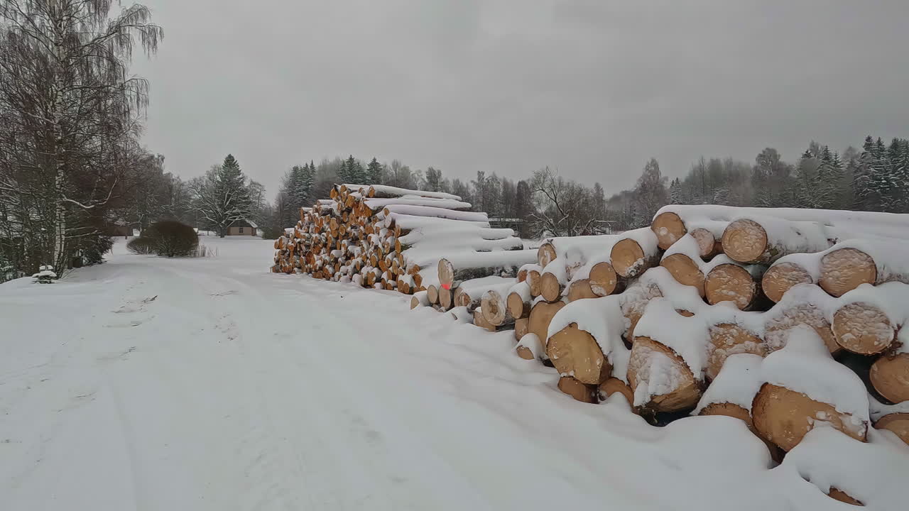caminando por madera cosechada del bosque en invierno apilada en montones y cubierta de nieve