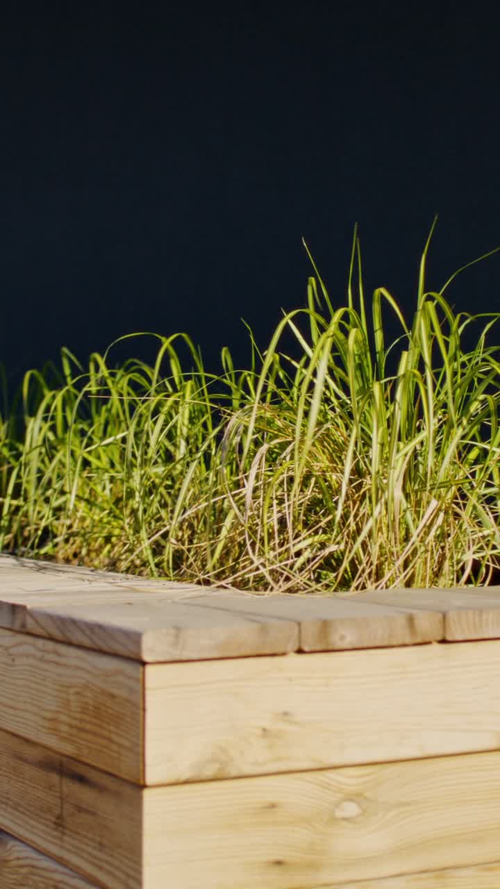 Wooden planter with grass