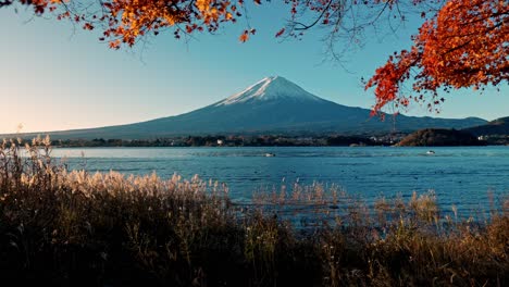 a breathtaking wide pan shot of mount fuji with its snow-capped peak towering above the serene waters of lake kawaguchiko, framed by vibrant red autumn foliage.