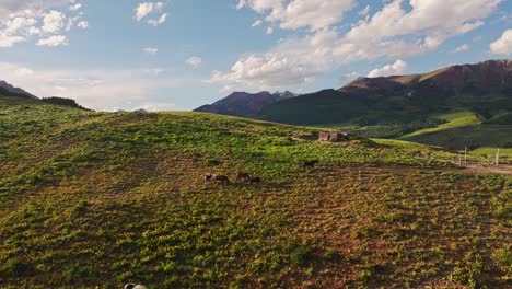 Aerial-over-a-hill-near-the-Crested-Butte-mountain-with-wild-horses-in-the-foreground,-Colorado,-USA