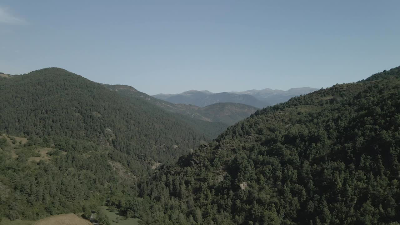 vista aérea de un dron que avanza sobre los campos y un bosque y está rodeado de montañas en la cerdanya, catalunya
