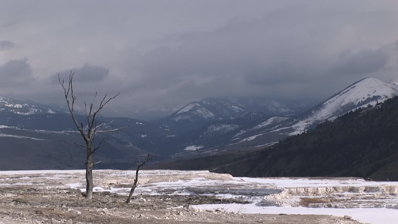 un árbol solitario agrega interés a este paisaje invernal que de otro modo sería rígido