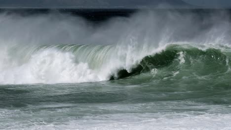 large wave breaking during a huge swell in the southern ocean