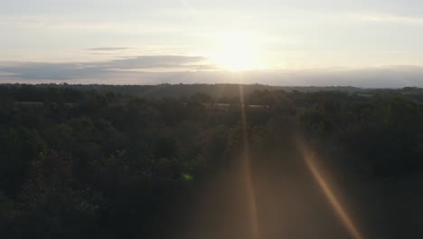 drone shot flying over trees
