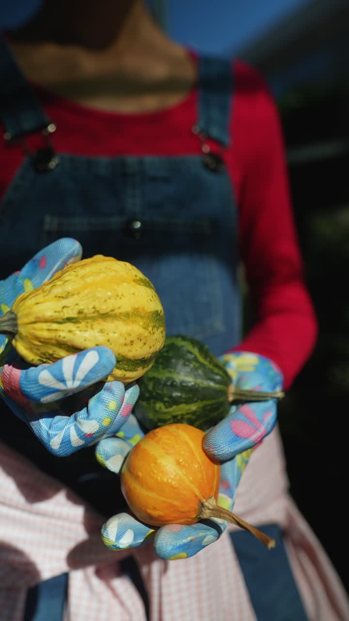 mujer con pequeñas calabazas y calabazas