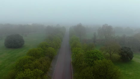 foggy view of the road in london
