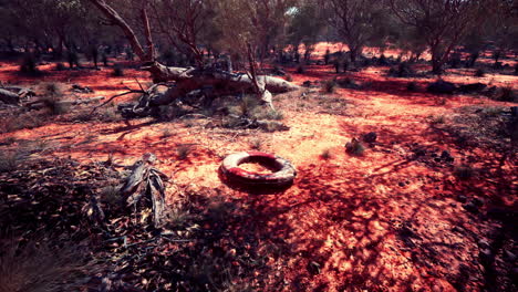 buya de anillo de vida en la playa del desierto