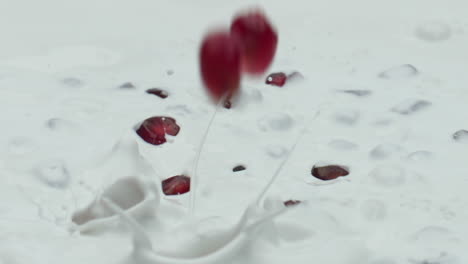 closeup pomegranate splashing milk in super slow motion. healthy nutrition.