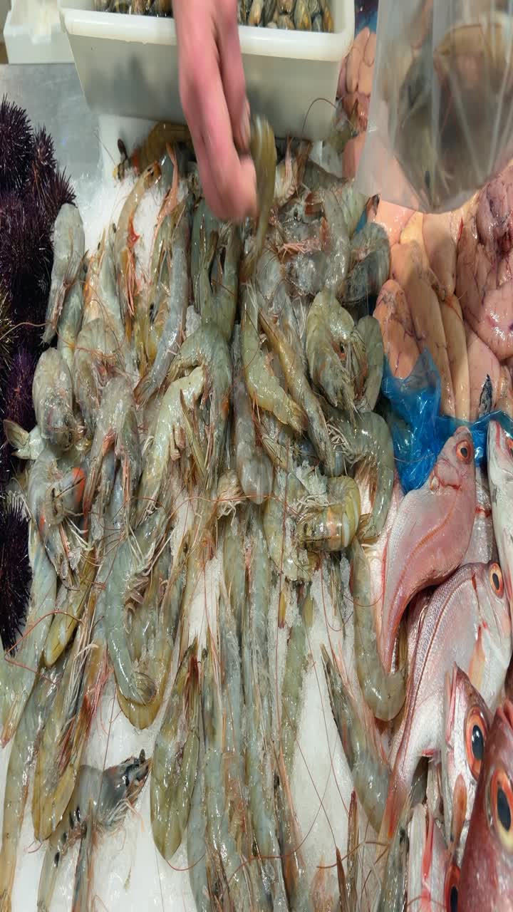 Hand Picking Fresh Shrimp from Iced Display at Fish Market