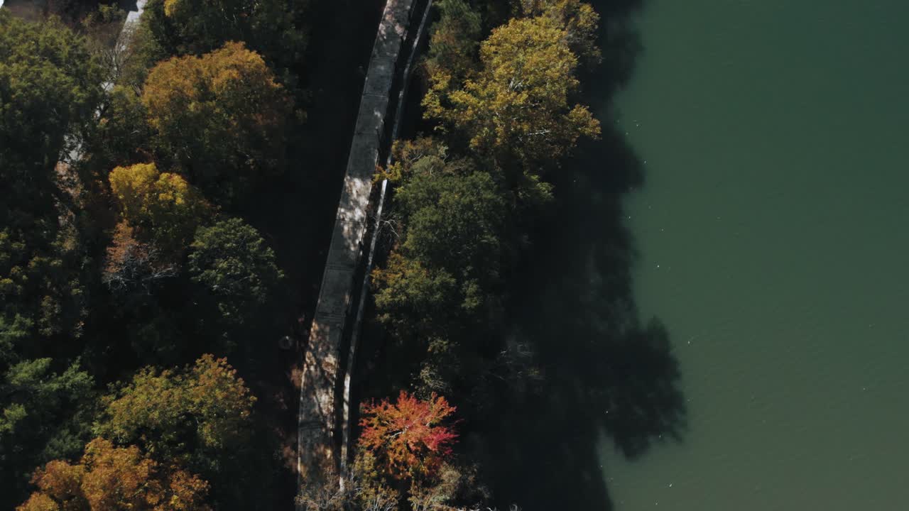 Aerial birds eye shot of lonely road surrounded by tree avenue beside river