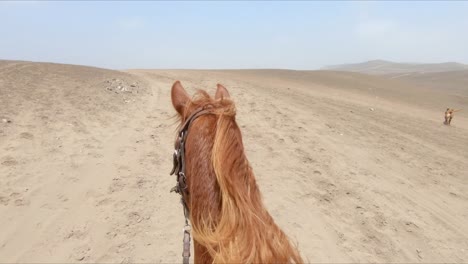 pov riding, galloping chestnut horse going up a deserted trail