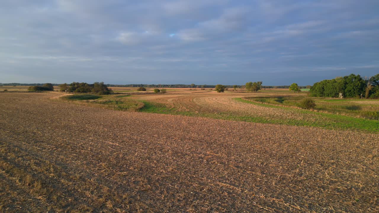 geese fly over fertile plain with cultivated fields, a river and a forest in the distance, bathed in the warm light of the setting sun. Smooth aerial view flight overflight flyover drone