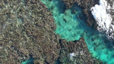 cinematic fast descending 4k aerial video of coral reef of utila island in honduras