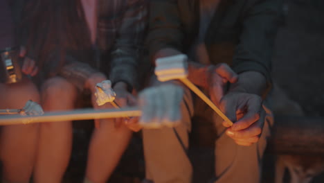 friends roasting marshmallows by campfire at night