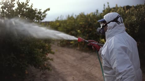 farmer spray insecticide, pesticide, pesticides or insecticides spraying on lemon trees agricultural field in spain