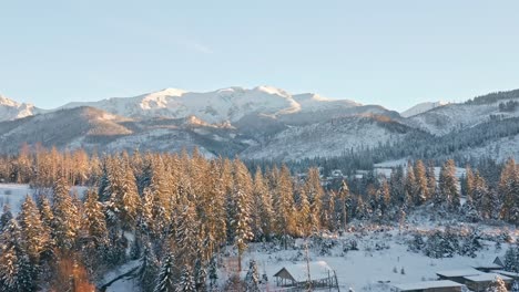 Verschneite-Wälder-In-Der-Wintersaison,-Koscielisko-In-Polen