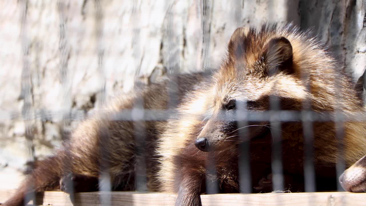 la mejor vista en yokohama