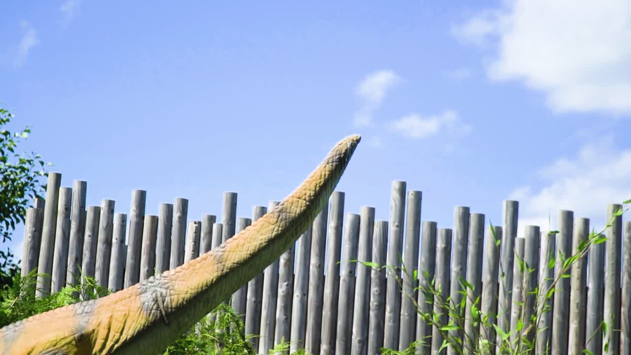 울타리 뒤의 폭력적인 공룡 파충류는 낮 동안 화창한 고대 동물의 먹이를 먹고 있습니다.