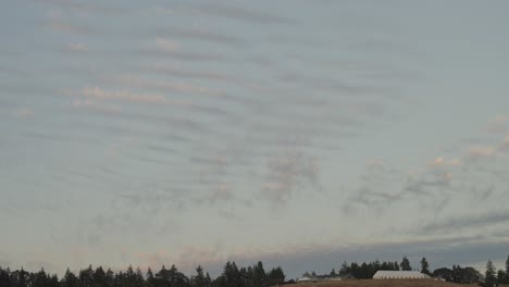cotton candy clouds during seattle sunset