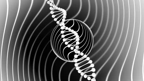 Animation-of-dna-strand-spinning-over-white-lines-and-circles-on-grey-background