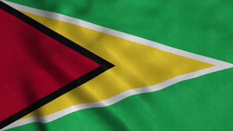 guyana flag waving in the wind. national flag of guyana. 4k