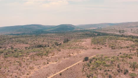 dirt road in african savannah bush with trees and hills, drone shot