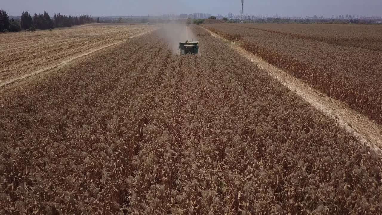 cosechadora combinada en el campo de maíz