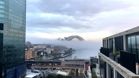 sydney harbour bridge enveloped with thick fog at daybreak from viewpoint in sydney city, nsw, australia