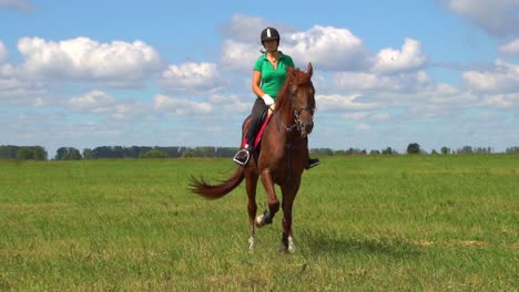 woman horseback riding in a field