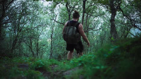 hiker walking through forest trail in strytinden, norway - wide