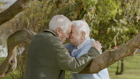 romantic senior couple rubbing nose and kissing while leaning on low tree branch at park on sunny autumn day