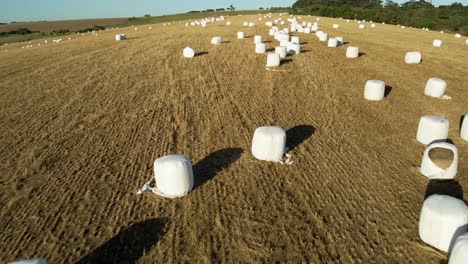 aerial view of a rural field with rolls of white hay wrapped in a package