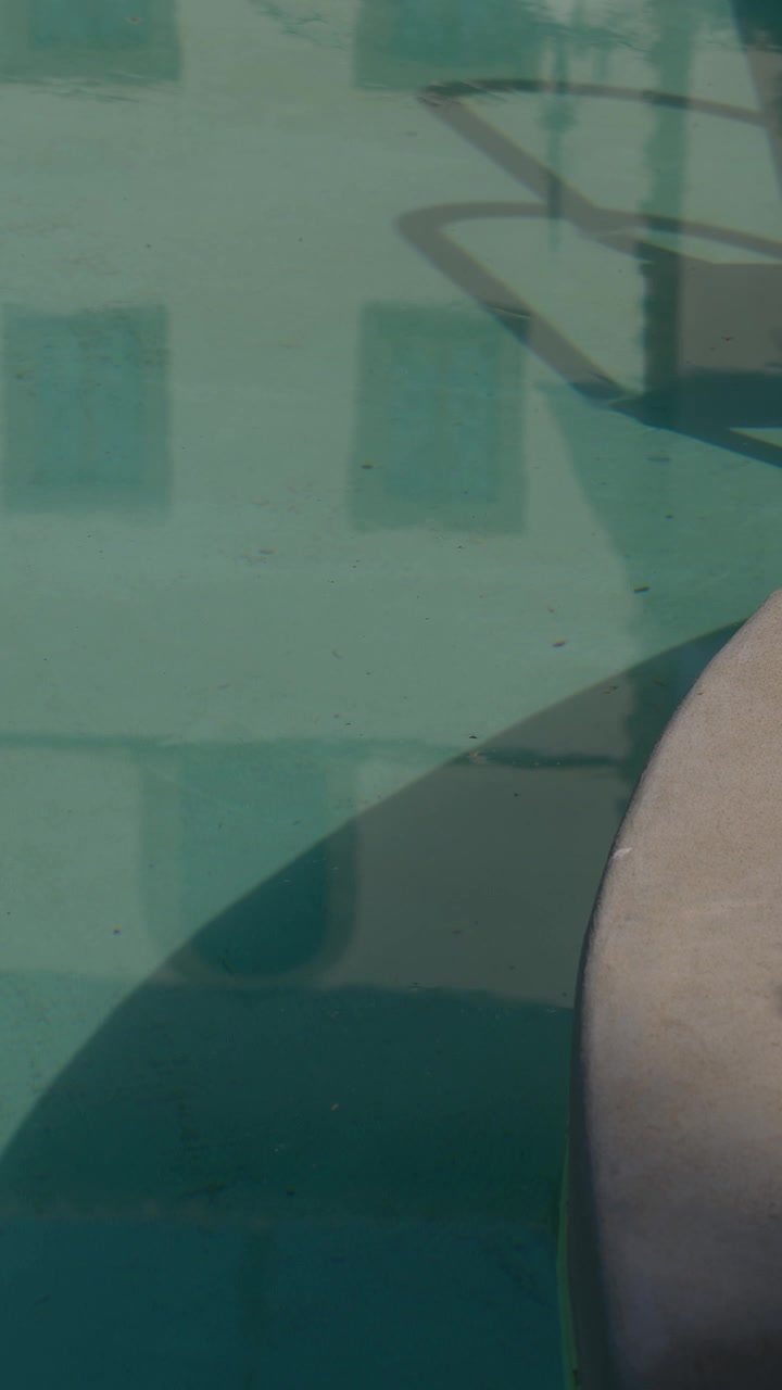 Riflesso delle finestre di una villa e del bordo piscina nell'acqua calma di una piscina esterna.