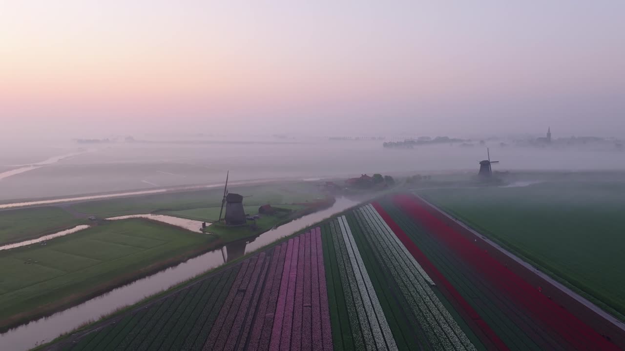 Vista aerea di foschia all'alba sopra mulini a vento, tulipani e la chiesa del villaggio