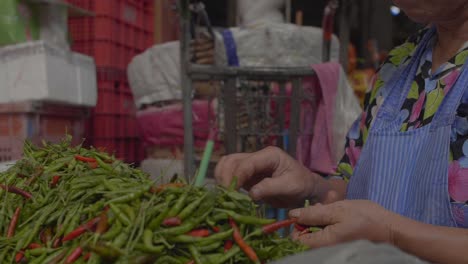 hands sorting chilli peppers