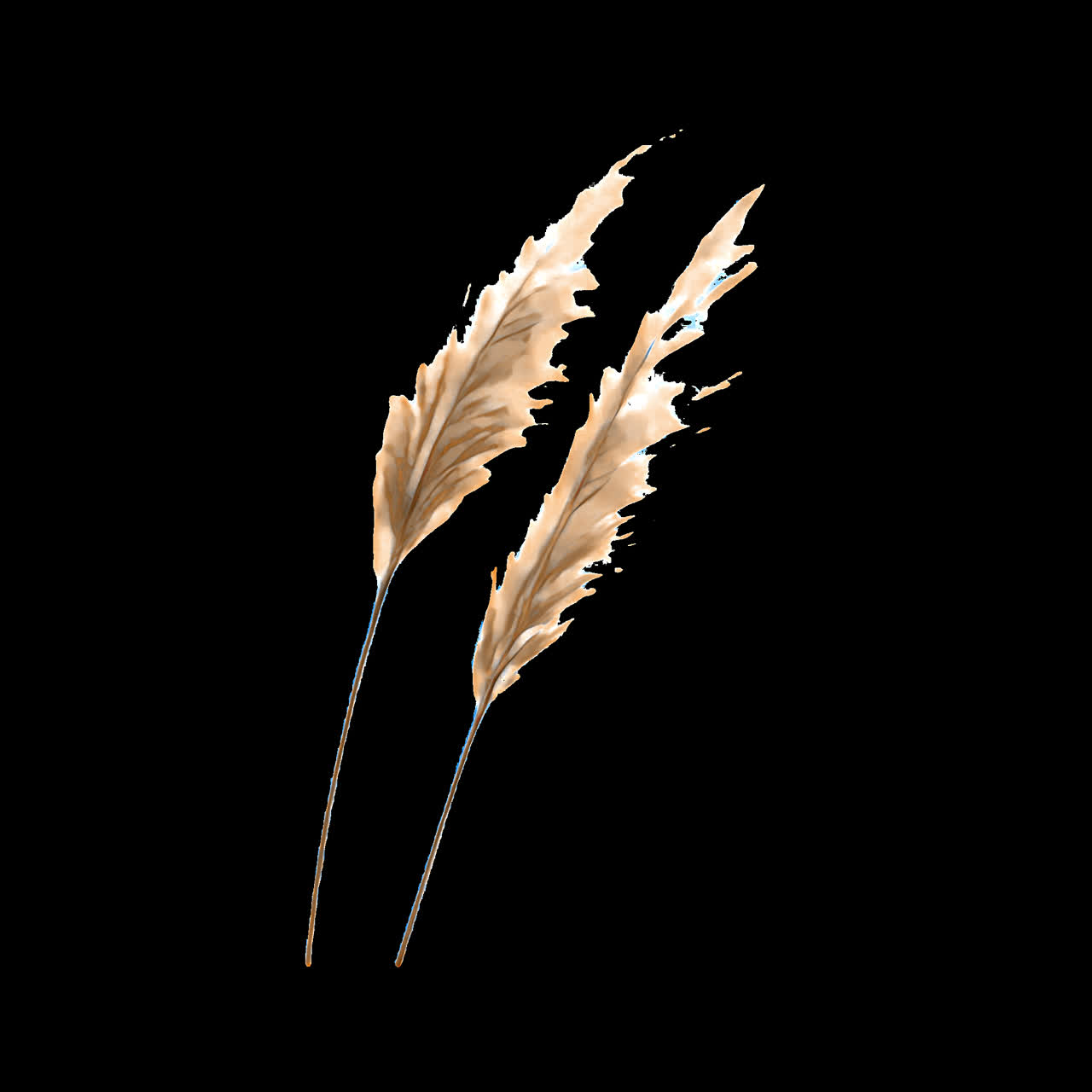 Minimalist dried plant