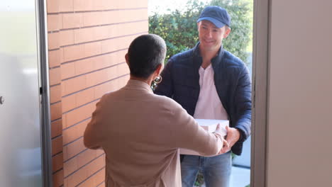 cheerful courier in cap delivering pizza to woman at her home and having a conversation