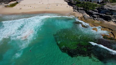 surfistas y turistas en la playa de tamarama en verano