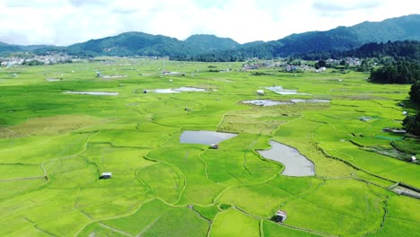 vista aérea de un campo de arroz en arunachal pradesh