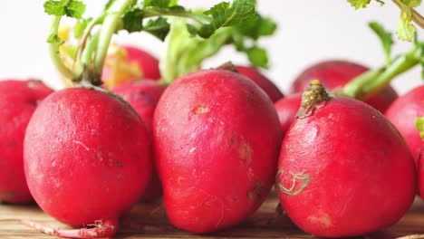 fresh red radishes